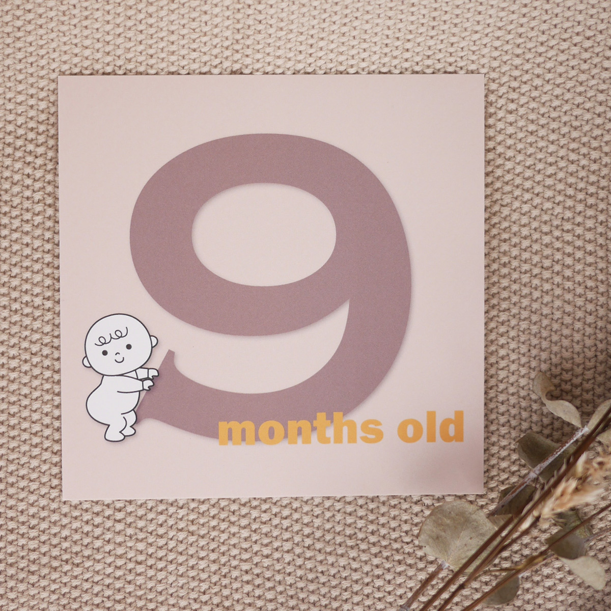 【 13枚セット 】バースデーカードセット 誕生から1歳まで 13枚セット 出産準備 出産祝い 誕生日 赤ちゃん お祝い メッセージカード 男の子 女の子 おしゃれ 0歳 1歳 0ヶ月 2ヶ月 3ヶ月 4ヶ月 5ヶ月 6ヶ月 7ヶ月 8ヶ月 9ヶ月 10ヶ月 11ヶ月 12ヶ月