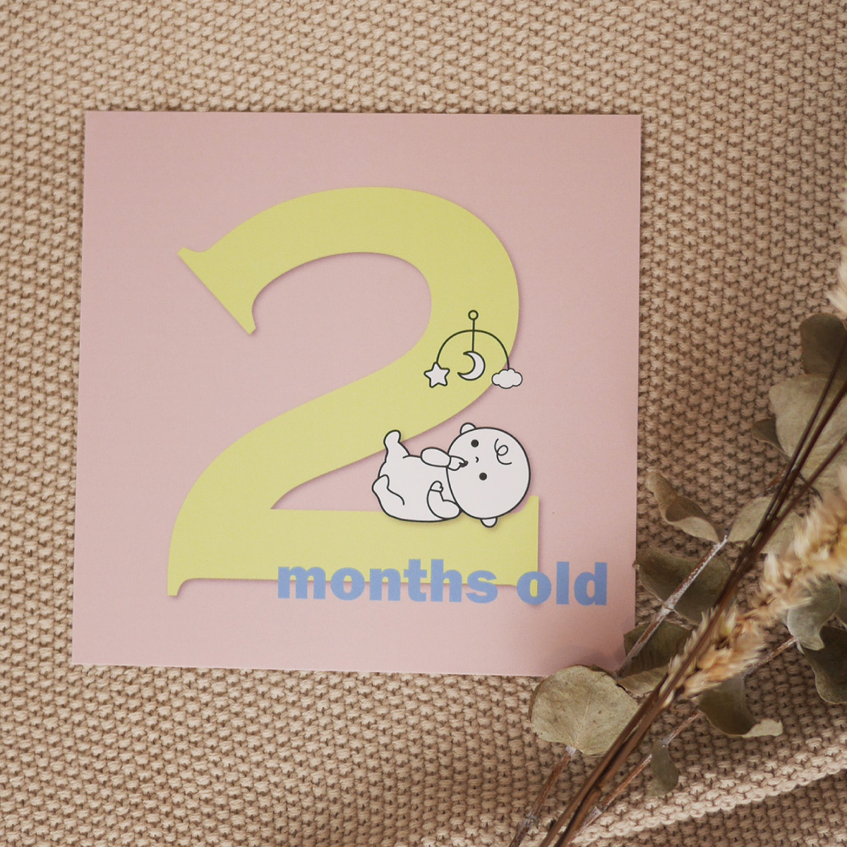  【 単品 月齢 】バースデーカードセット 誕生から1歳まで 出産準備 出産祝い 誕生日 赤ちゃん お祝い メッセージカード 男の子 女の子 おしゃれ 0歳 1歳 0ヶ月 1ヶ月 2ヶ月 3ヶ月 4ヶ月 5ヶ月 6ヶ月 7ヶ月 8ヶ月 9ヶ月 10ヶ月 11ヶ月 12ヶ月